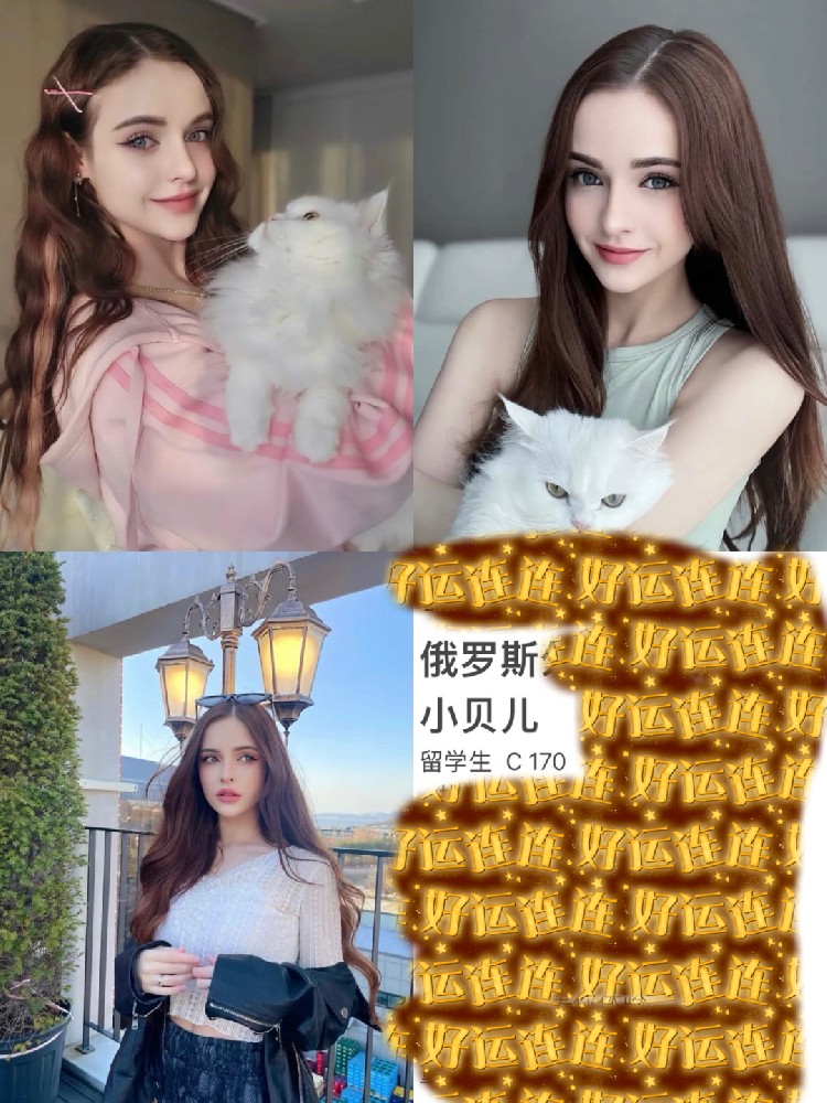 小贝儿